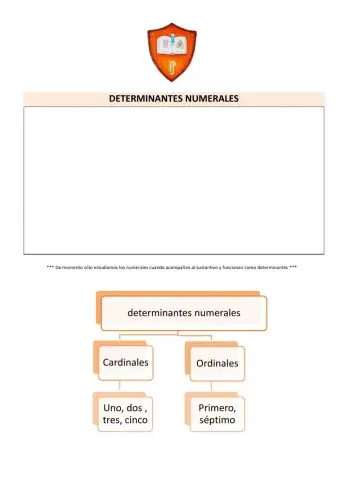 Determinantes numerales