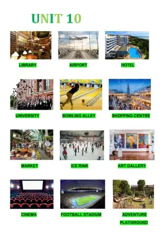 Unit 10 Vocabulary ..