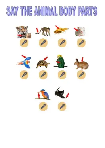 Say the animals body parts tiger macmillan