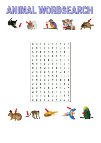 Animal body parts wordsearch tiger macmillan