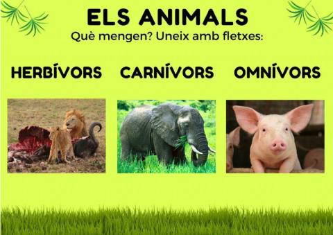 Alimentació dels Animals