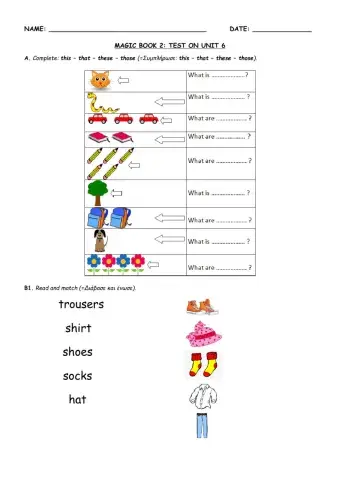 Magic Book Unit 6 - Test