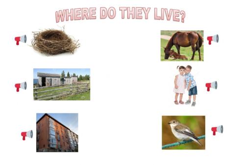 Where do they live?