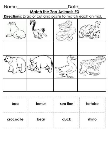 Zoo Animal Word to Picture Match -3