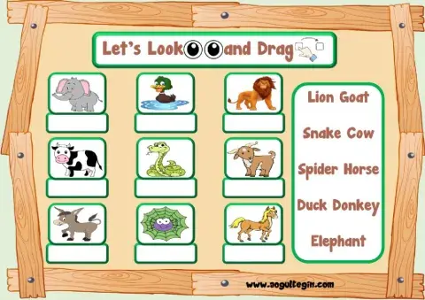 2.10. Animals - Let's Look and Drag