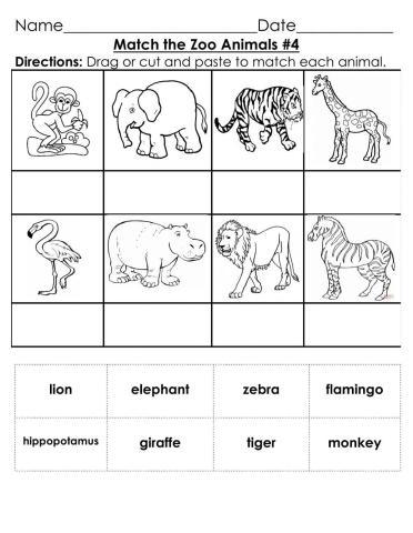 Match Zoo Animal Words to Pictures - 4