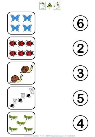 Insectos Primavera: Cuenta y une