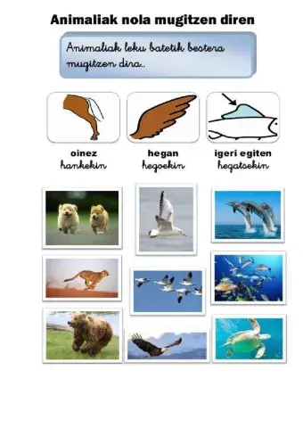 Nola mugitzen dira animaliak