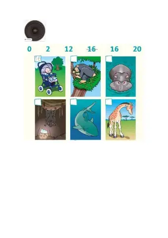 Listen and check - animals sleeping