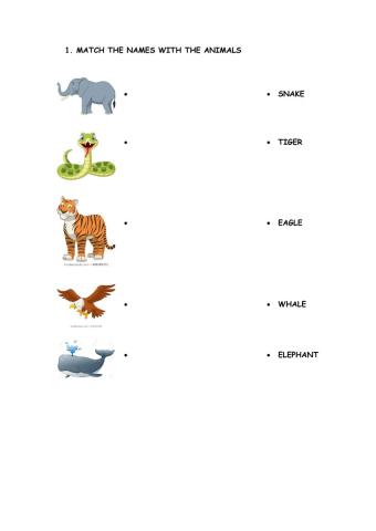 Match the animals and the names