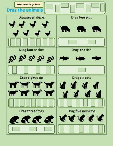 Counting animals