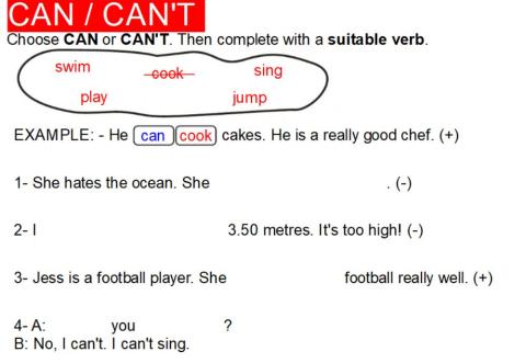 Can Can't Revision 0