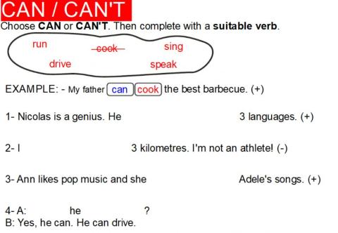 Can Can't Revision 1