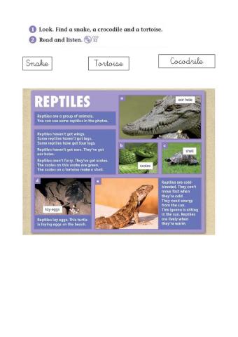 Reading and describe