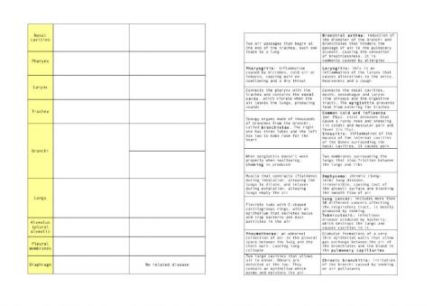 Respiratory system & diseases