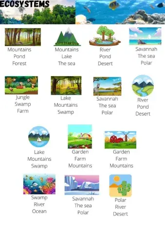 Ecosystems Vocabulary