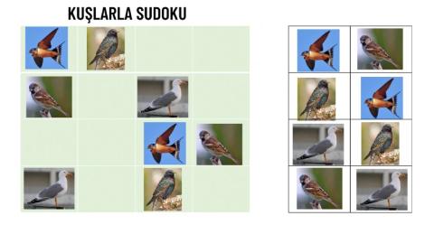 Kuşlarla Sudoku