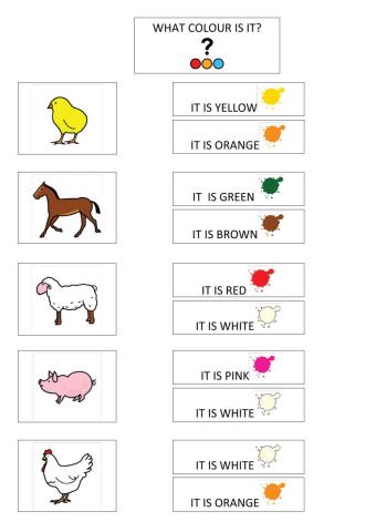 Farm animals: what colour is it?
