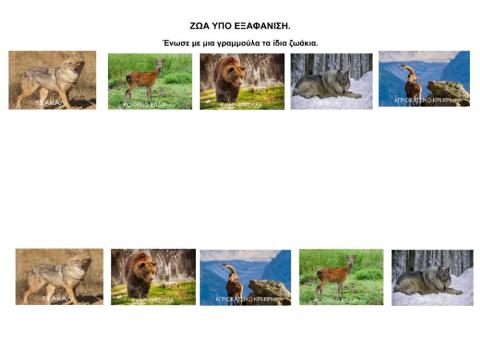 Ζώα υπό εξαφάνιση.