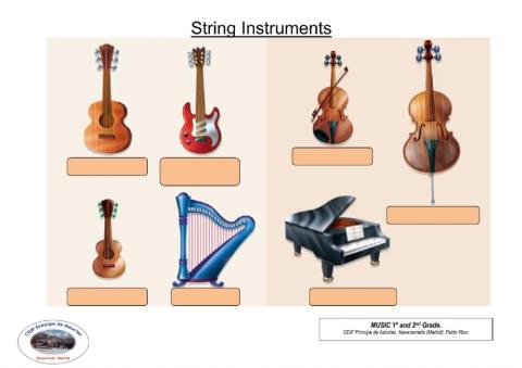 String instruments names