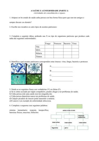 Saúde e enfermidade (parte 1)