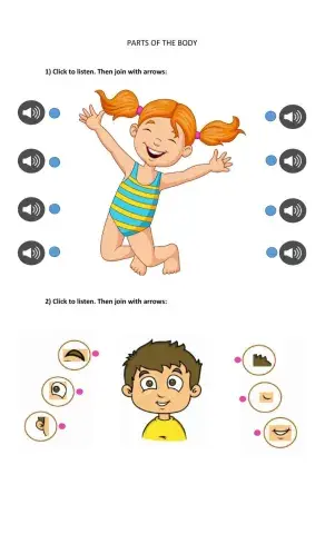 Parts of the body and face