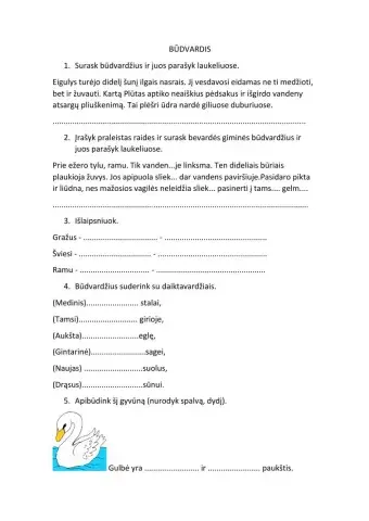 Patikra iš būdvardžio