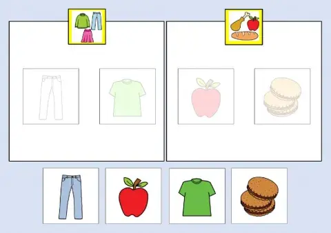 Classificare con aiuto visivo vestiti cibo