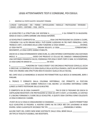 L'apparato scheletrico