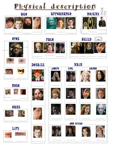 Happy Potter - physical description worksheet