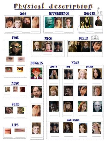 Happy Potter - physical description worksheet