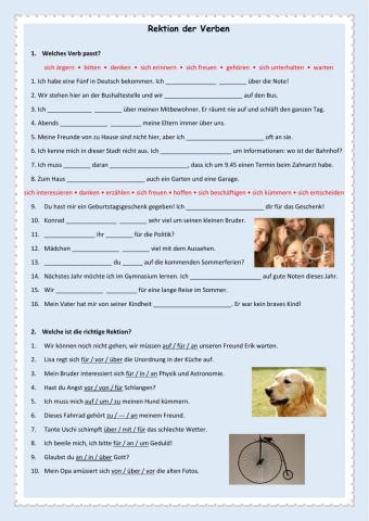 Rektion der Verben