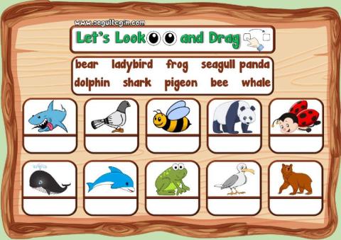 3.10. Nature - Let's Look and Drag