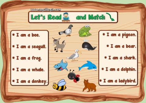 3.10. Nature - Let's Read and Match