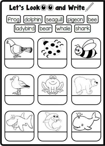 3.10. Nature - Let's Look and Write