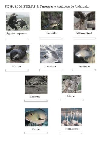 Animales de Andalucía