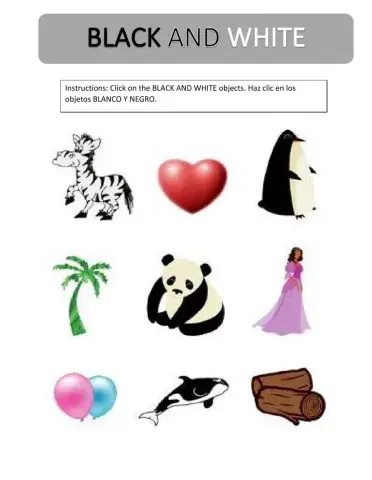 Prekinder Colors black and white