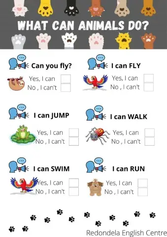 What Can Animals Do?