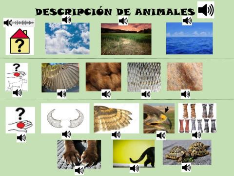 Descripción de animales