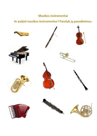 Muzikos instrumentai