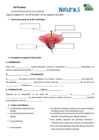La reproducció de les plantes