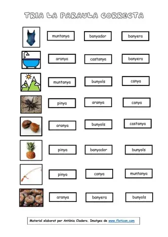 Paraula correcta lletra ny