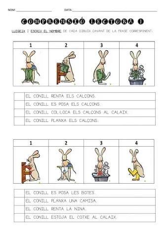 Comprensió Lectora 1 (PAL)