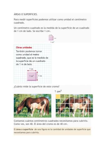 Áreas de figuras planas