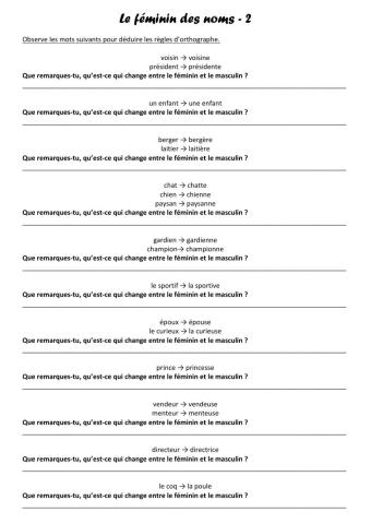 Le féminin des noms 2
