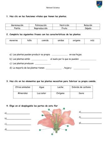 Worksheet Natural Science 4ºEP RF 2º Term