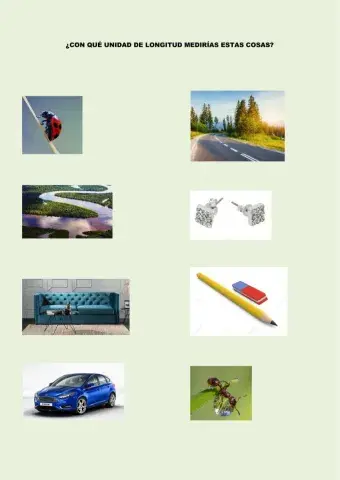 ¿Qué medida utilizarías?