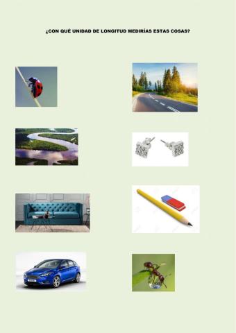 ¿Qué medida utilizarías?