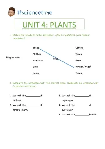 Activities Unit 4: Plants (Part II)