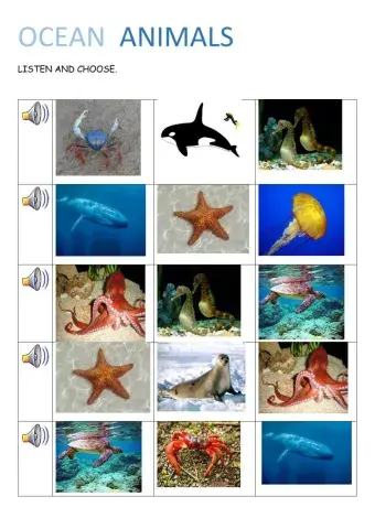 Ocean animals